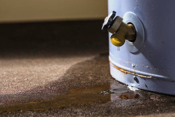 Best Fire Damage Restoration  in Skyline Ganipa, NM
