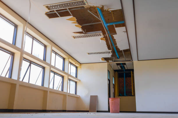 Best Water damage restoration near me  in Skyline Ganipa, NM
