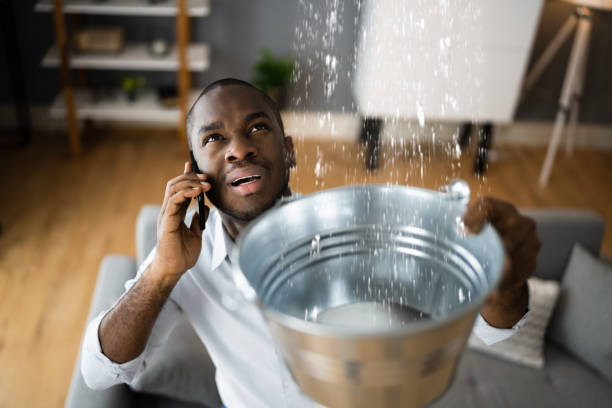 Best Carpet water damage restoration  in Skyline Ganipa, NM