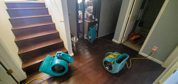 Best Water damage contractors near me  in Skyline Ganipa, NM