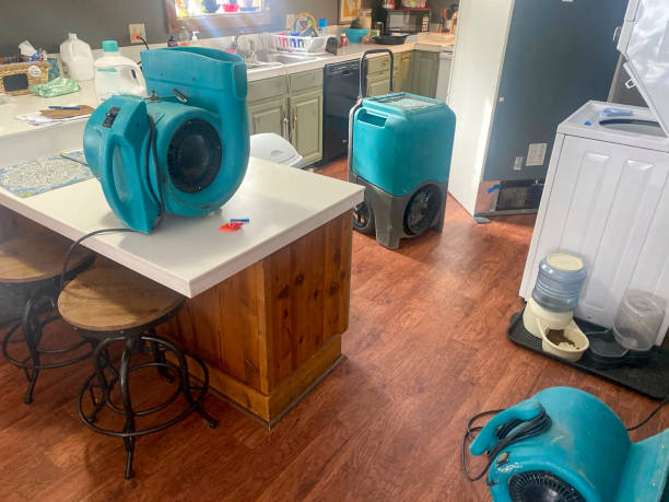 Best Water damage contractors near me  in Skyline Ganipa, NM