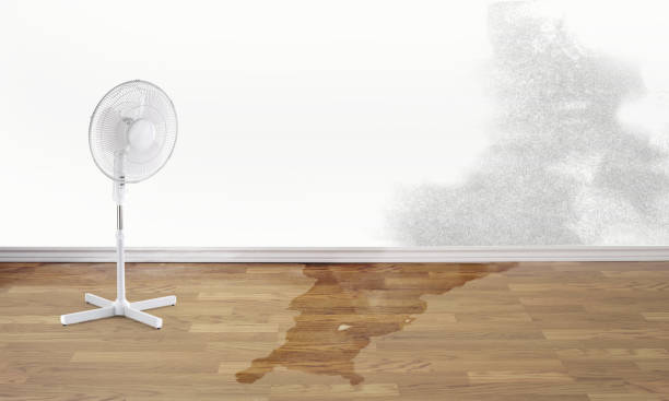 Best Local water damage restoration  in Skyline Ganipa, NM