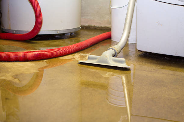 Best Flood damage cleanup  in Skyline Ganipa, NM