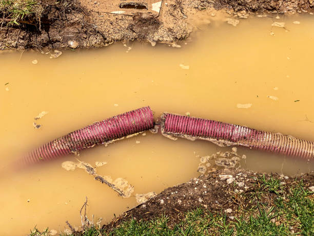 Best Water damage restoration company  in Skyline Ganipa, NM